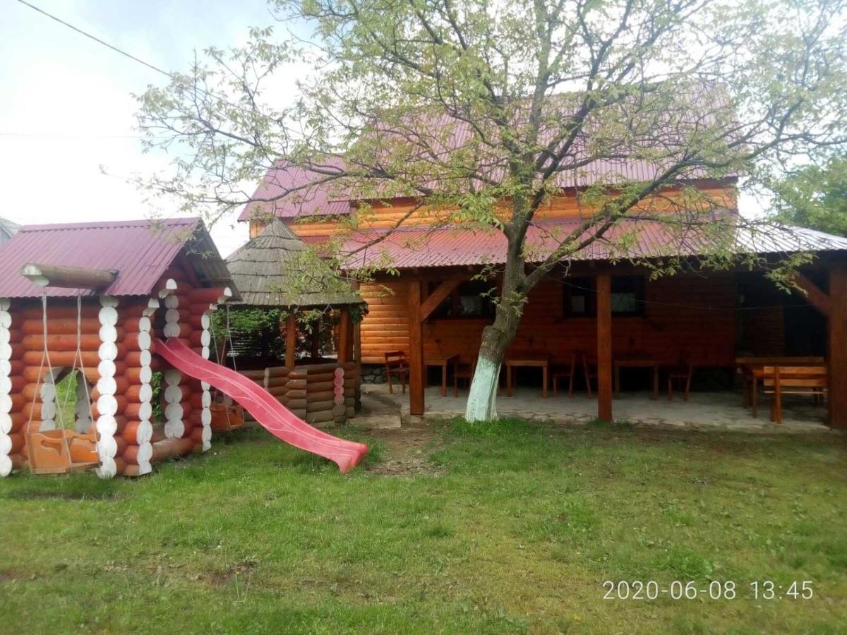 людмила, דירה סינביר
